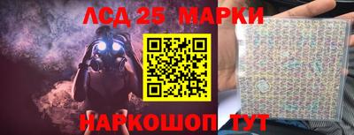 винт Славгород
