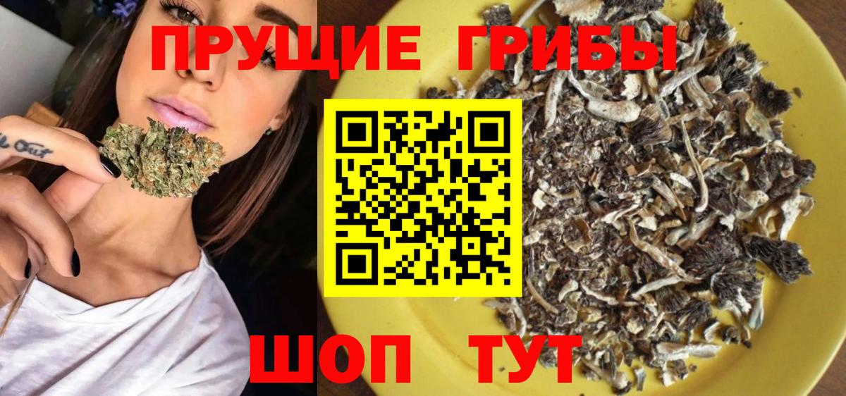 Галлюциногенные грибы Cubensis  Вход с VPN  Псилоцибиновые грибы MAGIC MUSHROOMS  Серов 